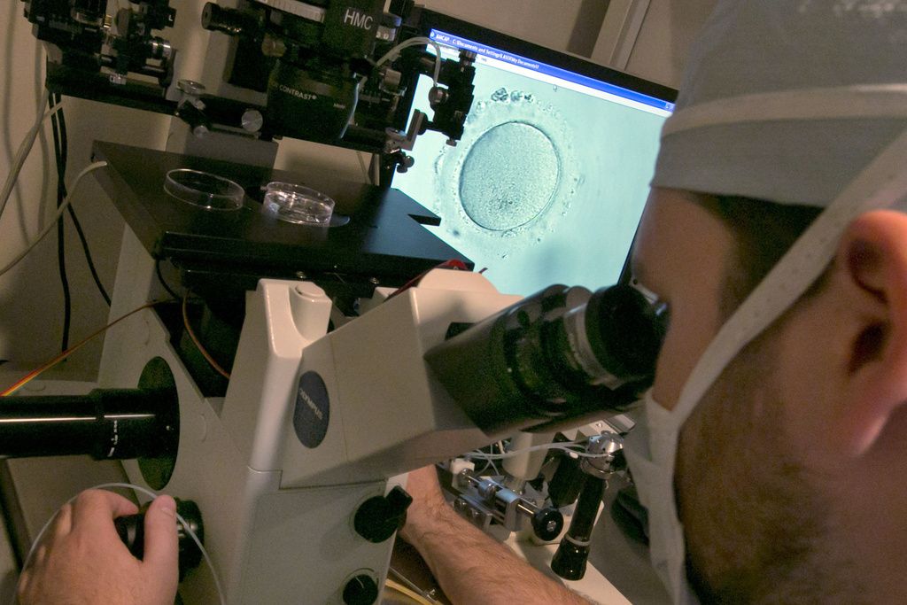 The status quo in
embryo research is barbaric