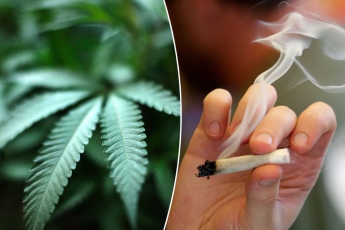 Rescheduling marijuana
puts corporate greed ahead of public safety